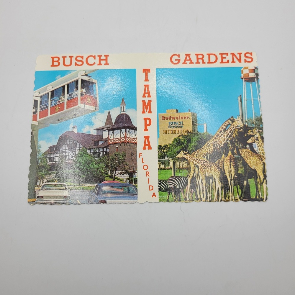 Busch Gardens Tampa Florida Postcard Skyrail Safari Giraffes Zebras Vintage